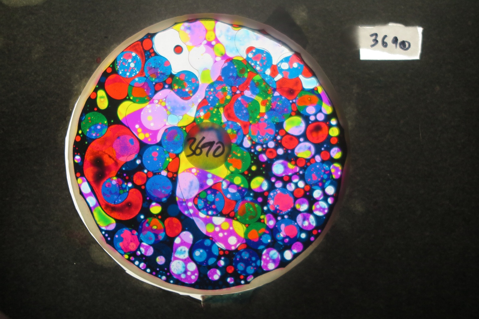 BV3690 bubble vision oil wheel